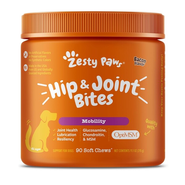 Best Hip and Joint Supplement for Dogs