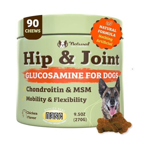 Best Hip and Joint Supplement for Dogs