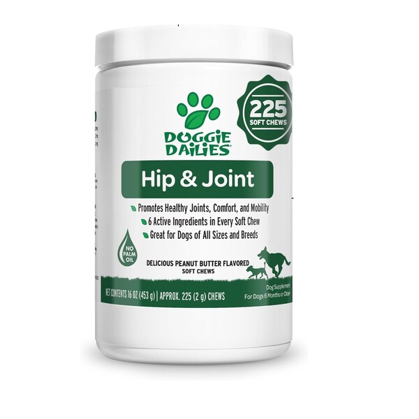 Best Hip and Joint Supplement for Dogs