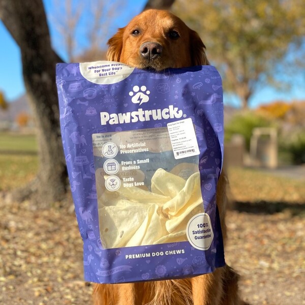 Pawstruck Review