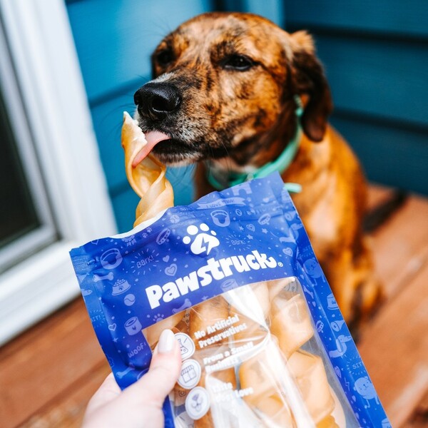 Pawstruck Review