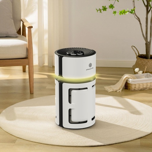 Pets Air Purifier Review