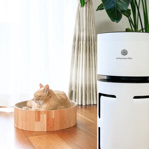 Pets Air Purifier Review: A Breath of Fresh Air for Pet Owners